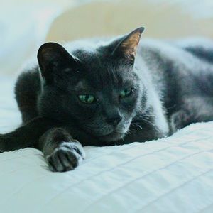 Meet your Posher, Kirsty